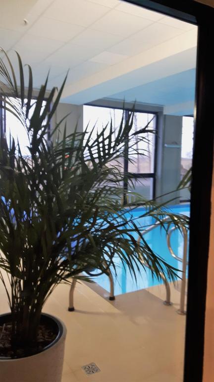 a potted plant sitting in front of a mirror at Apartament 505 in Mielno