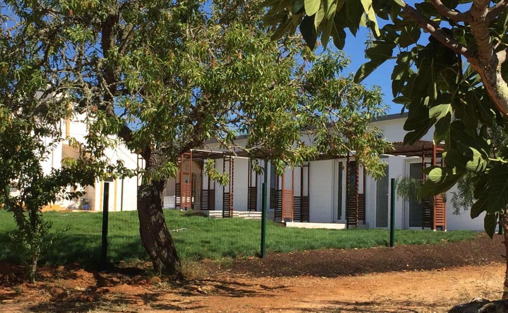 un edificio bianco con alberi di fronte di Quinta Da Rocha Portimao a Mexilhoeira Grande