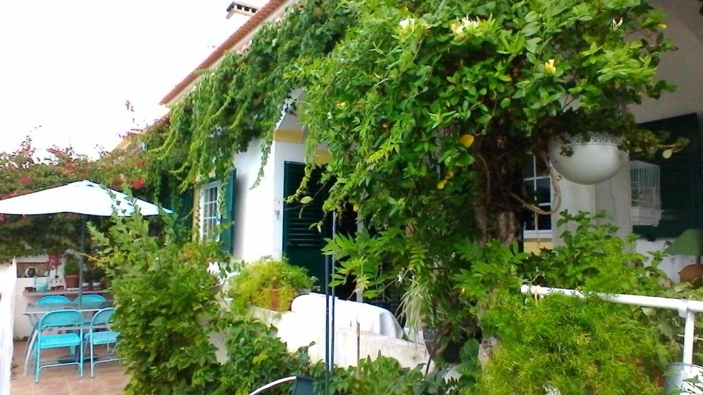 a house covered in ivy with tables and chairs at A Casa do Lagar in Azeitao
