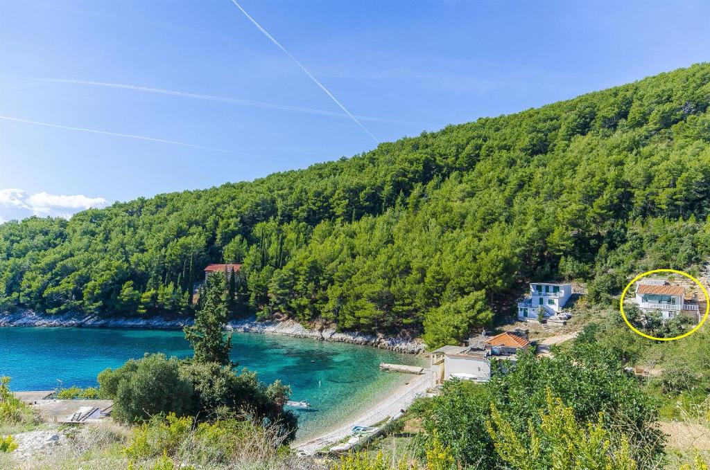 Příroda nedaleko apartmánu