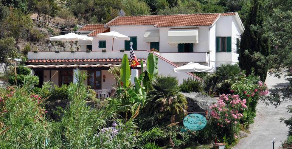 una casa en una colina con plantas y flores en Villa dei Limoni en SantʼAndrea