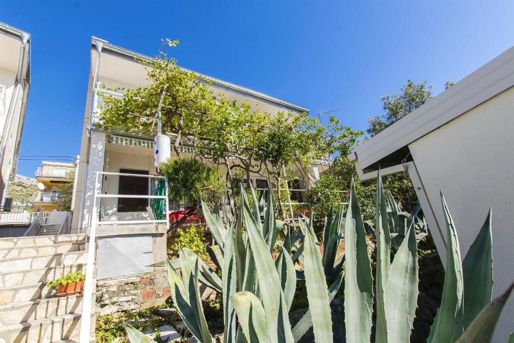 a house with a bunch of plants in front of it at Apartment Tina in Starigrad-Paklenica