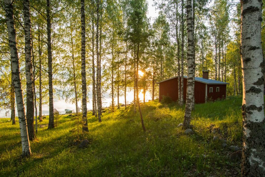 Photo de la galerie de l'établissement Resort Naaranlahti Cottages, à Naaranlahti