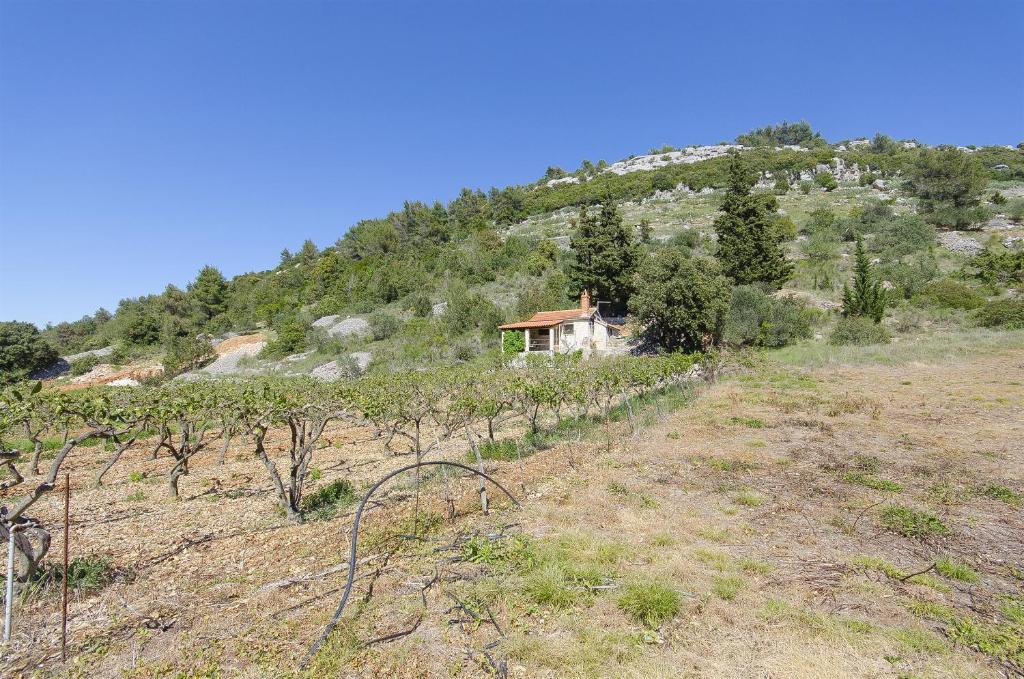 una casa sul fianco di una collina con alberi di House Silvana a Postira (Postire)