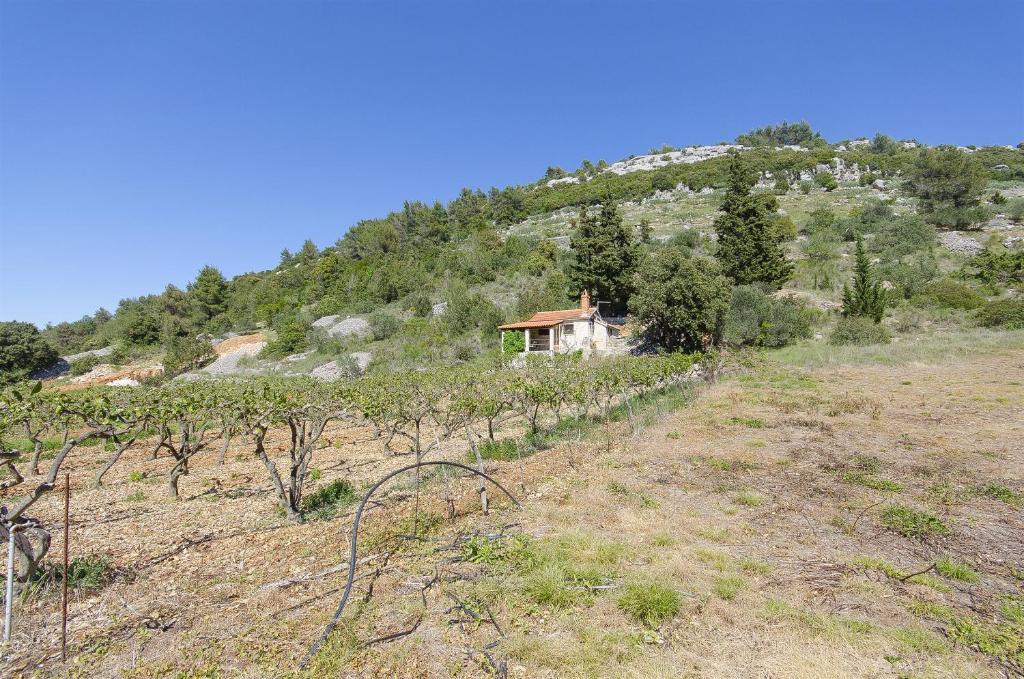 a house on the side of a hill with trees at House Silvana in Postira