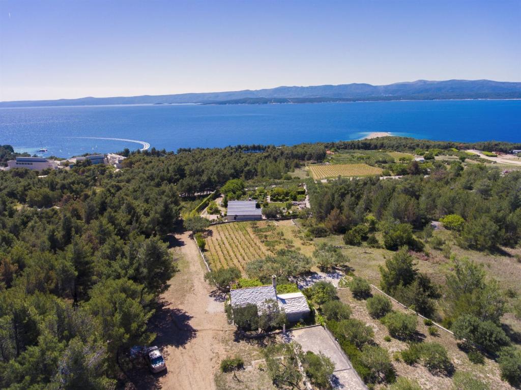 an aerial view of a farm and the water at House Ivan in Bol