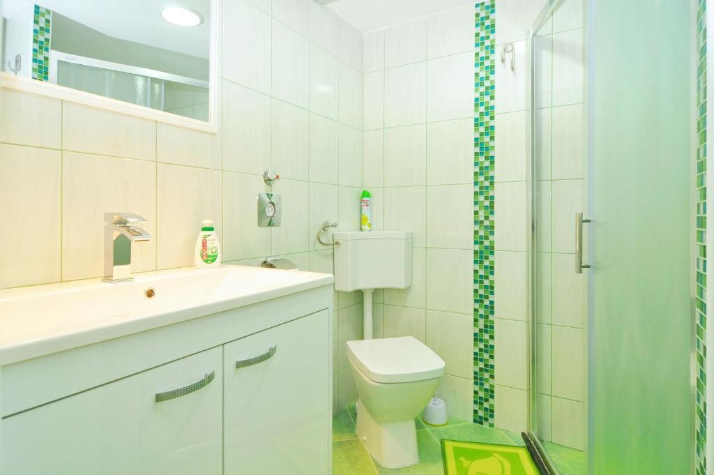 Koupelna v ubytování Apartment Steli