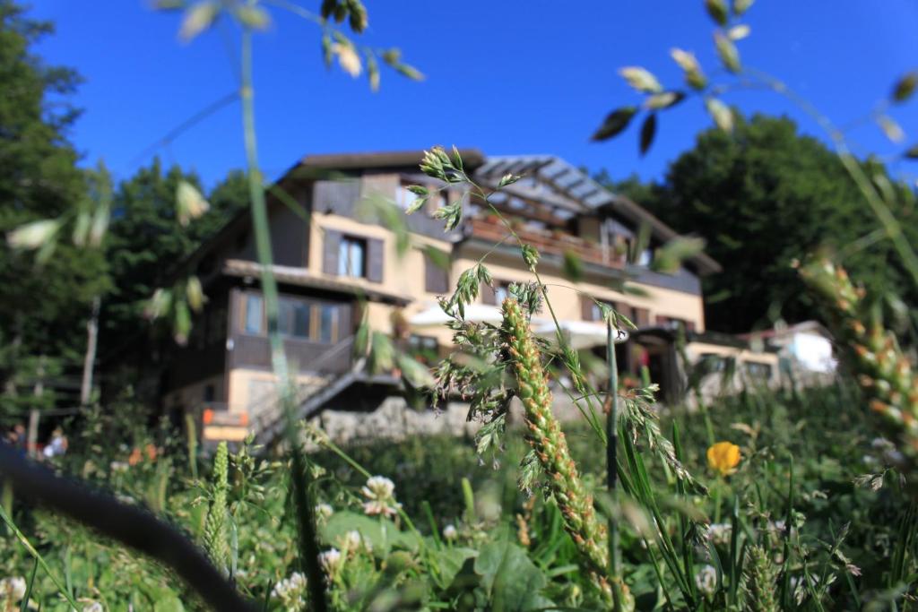 アッバディーア・サン・サルヴァトーレにあるHotel La Croceの草原の上に座る家