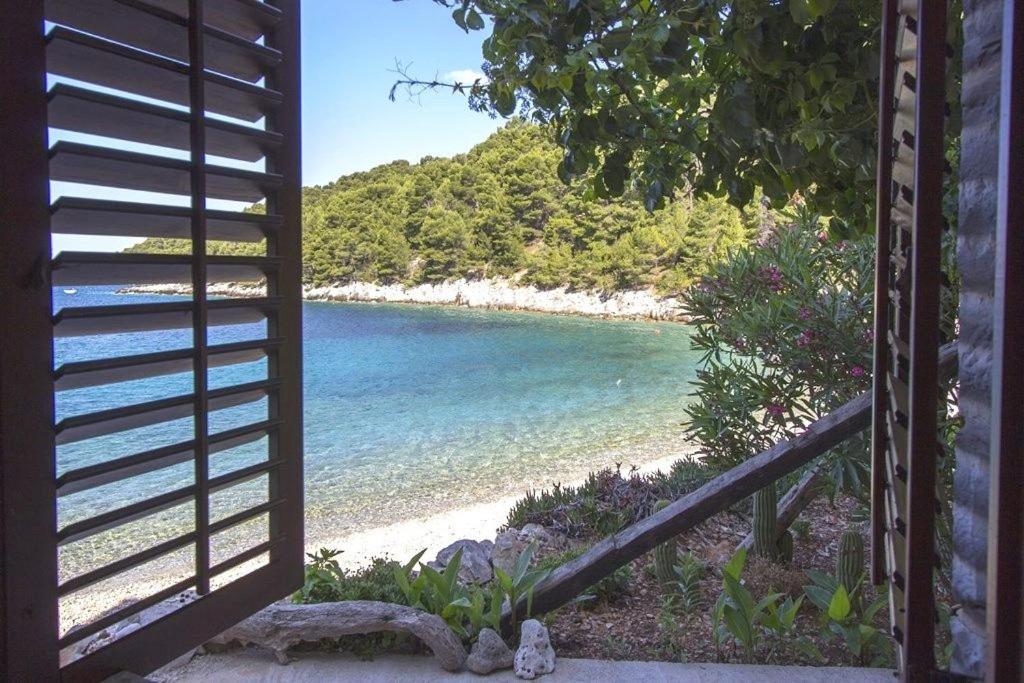 a view of a beach from an open window at Apartments Zeljko in Gdinj
