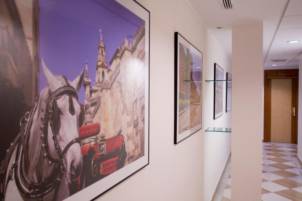 Hotel Córdoba Centro - Resim 16