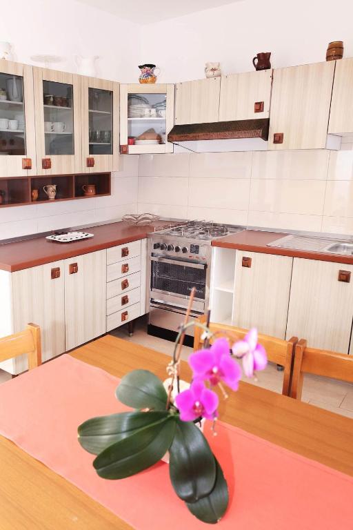 Kuchyňa alebo kuchynka v ubytovaní Apartments Patricia
