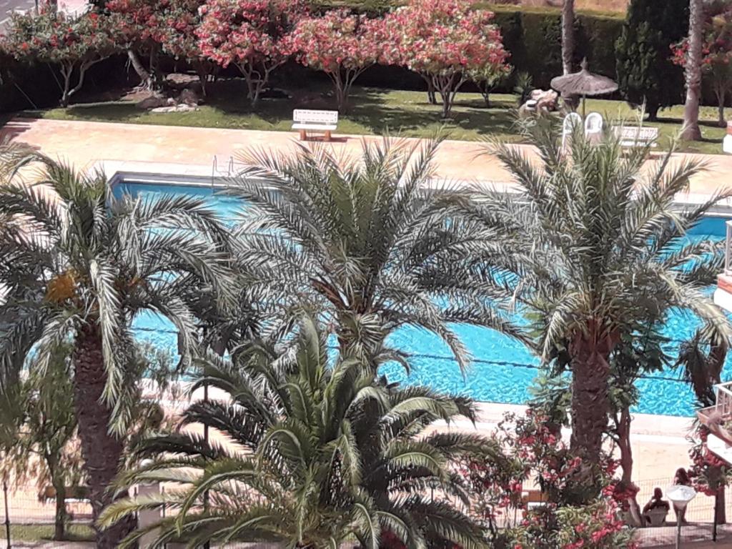 Apartment Intur, Alicante, Spain - Booking.com