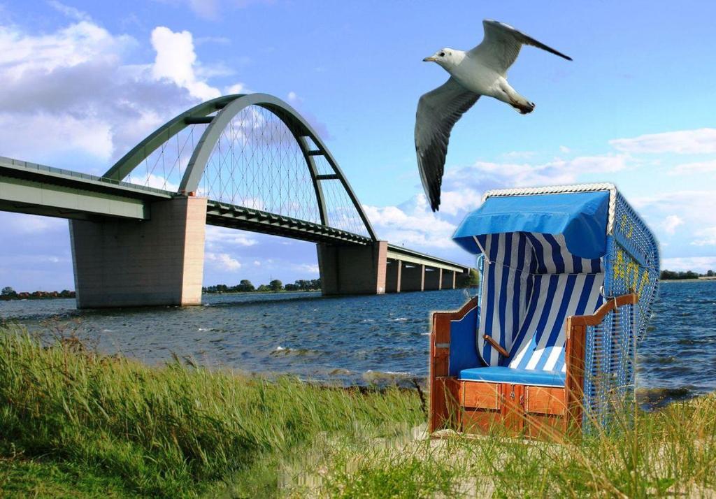 Ein Vogel fliegt über einen Strandkorb und eine Brücke in der Unterkunft SONNENSCHEIN  in Burgtiefe auf Fehmarn 