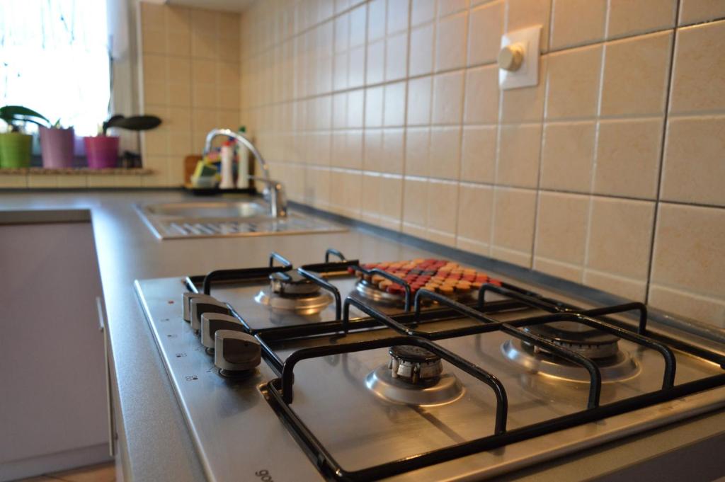La cuisine est équipée d'un four avec plaques de cuisson. dans l'établissement Apartment Imela, à Pula