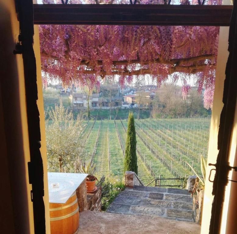 Zahrada ubytování Villa Butussi - L'ospitalità del Vino