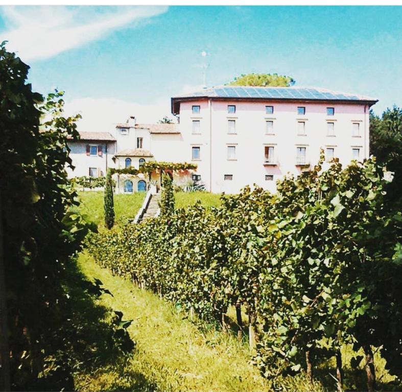 Zahrada ubytování Villa Butussi - L'ospitalità del Vino