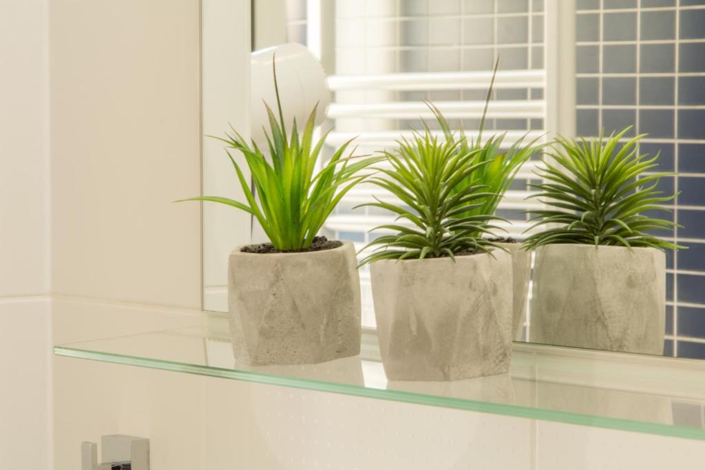 Hotel Delminivm - Resim 9