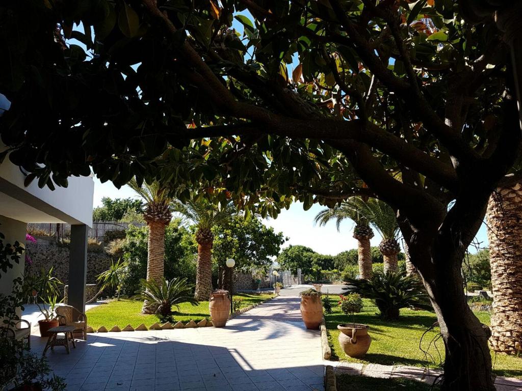 a walkway with palm trees in a park at Hotel Villa Rita in Ischia