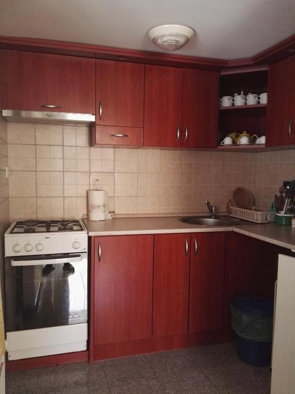 Kuchyň nebo kuchyňský kout v ubytování Agávé Apartman