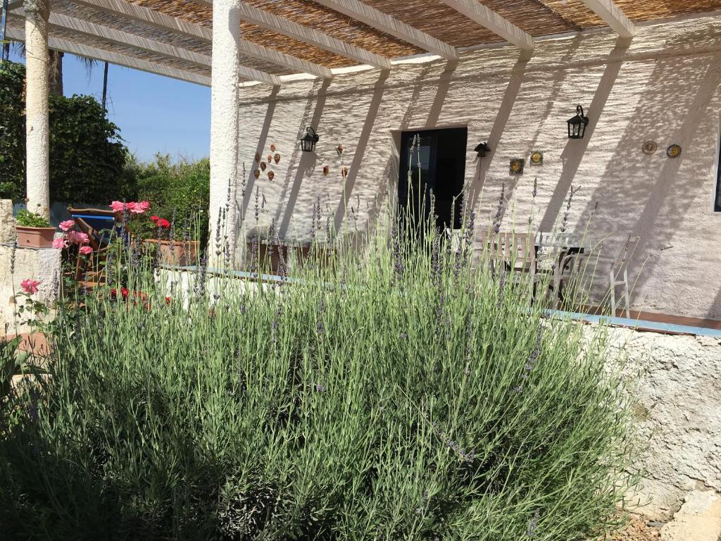 Casa dei Limoni – Photos 1
