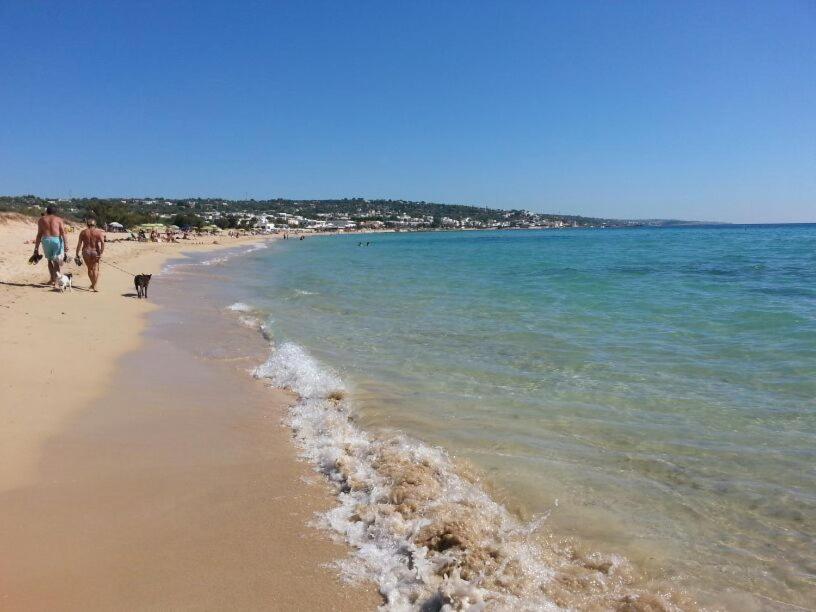a group of people and a dog walking on the beach at Dolce Mimì by LoveSud in Marina di Pescoluse