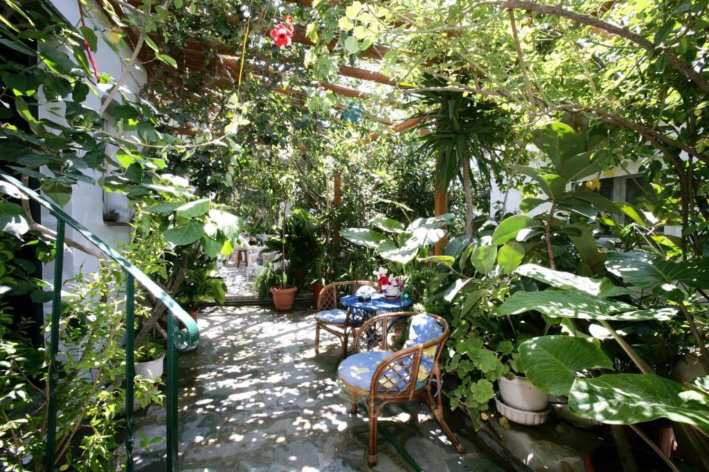 ogród ze stołem, krzesłami i roślinami w obiekcie Anastasia Studios w mieście Tinos