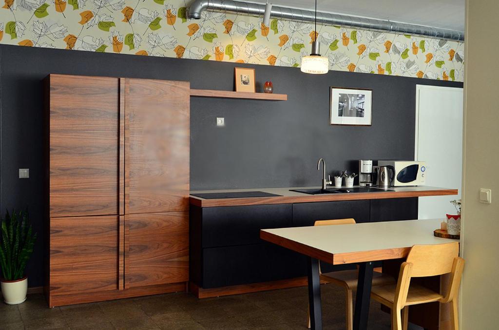Kuchyň nebo kuchyňský kout v ubytování Vinni Hostel
