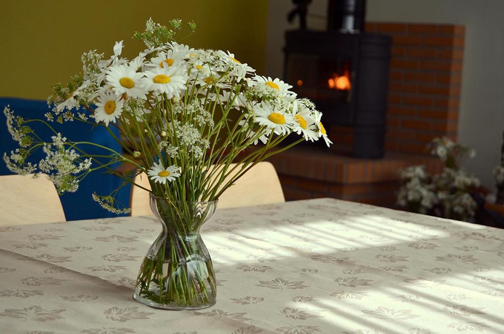 Fotografie z fotogalerie ubytování Vinni Hostel v destinaci Vinni