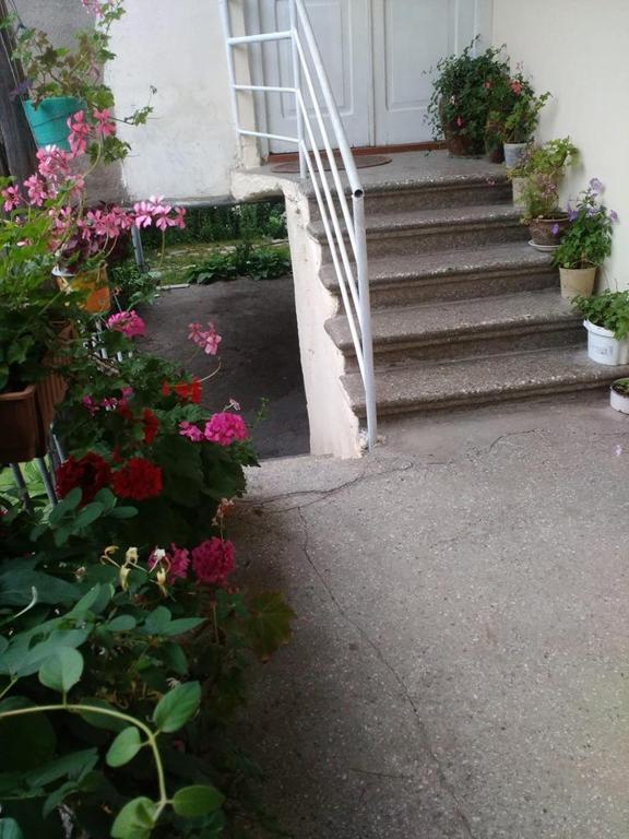 Zahrada ubytování Holiday Home Ekaterine