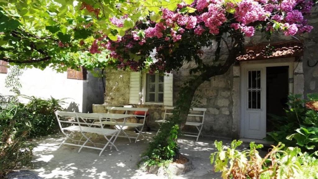 a table and chairs under a tree with pink flowers at Holiday Home The Old Vine in Perast