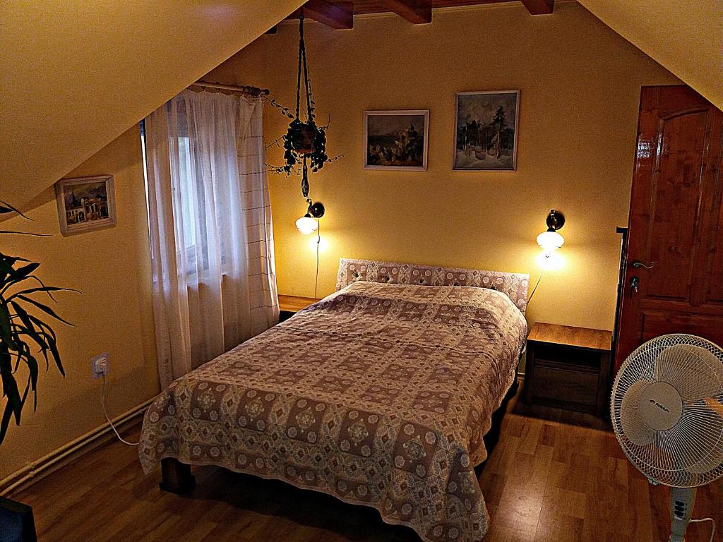 Postel nebo postele na pokoji v ubytování Raza Soarelui