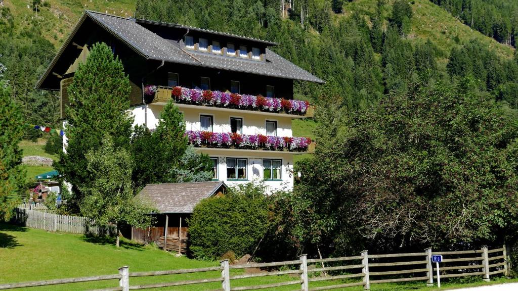 Příroda nedaleko hotelu