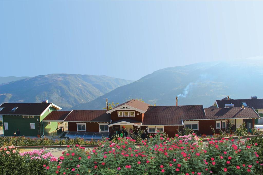 a row of houses in front of a mountain at Ktima Noosfera Wellness & Retreat Center in Kariá