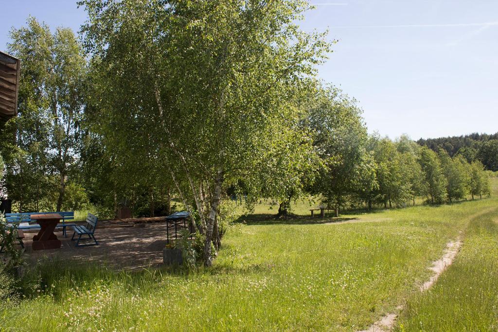 Príroda v okolí farmy