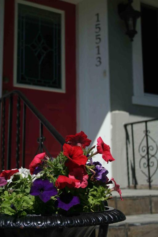 白石半中心房子酒店的门廊上一盆鲜花