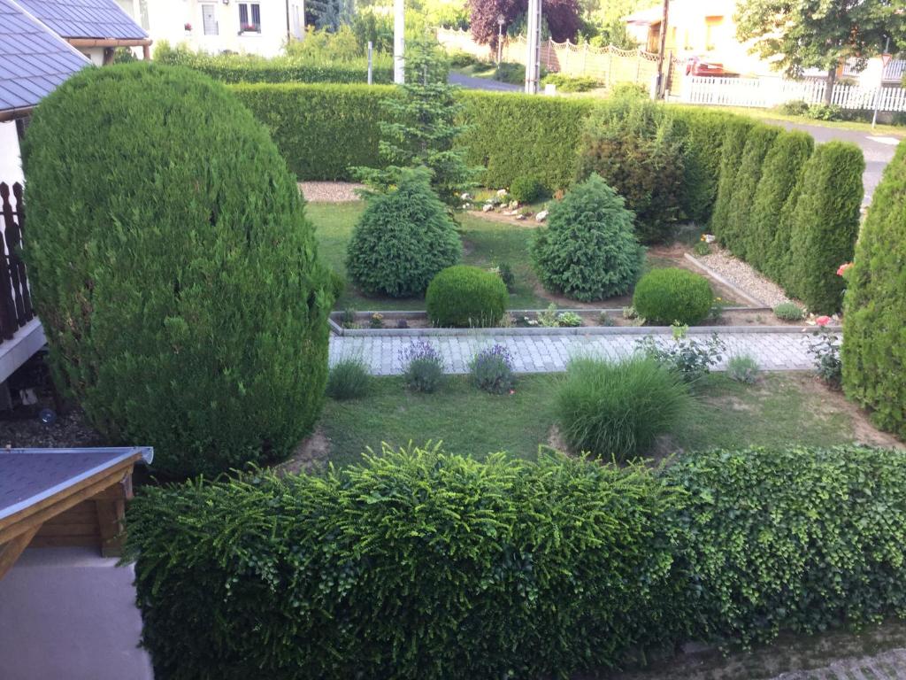 Zahrada ubytování Cyrano Vendégház