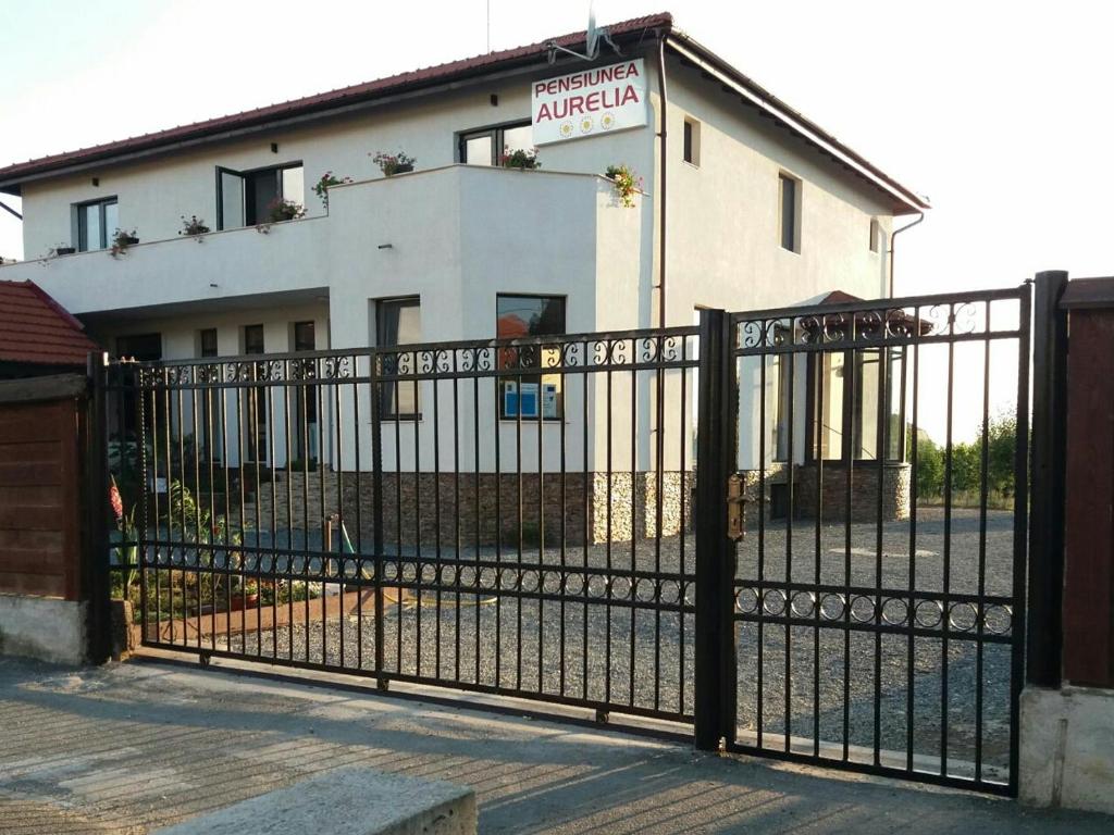 a black iron fence in front of a building at Pensiunea Aurelia in Şiria