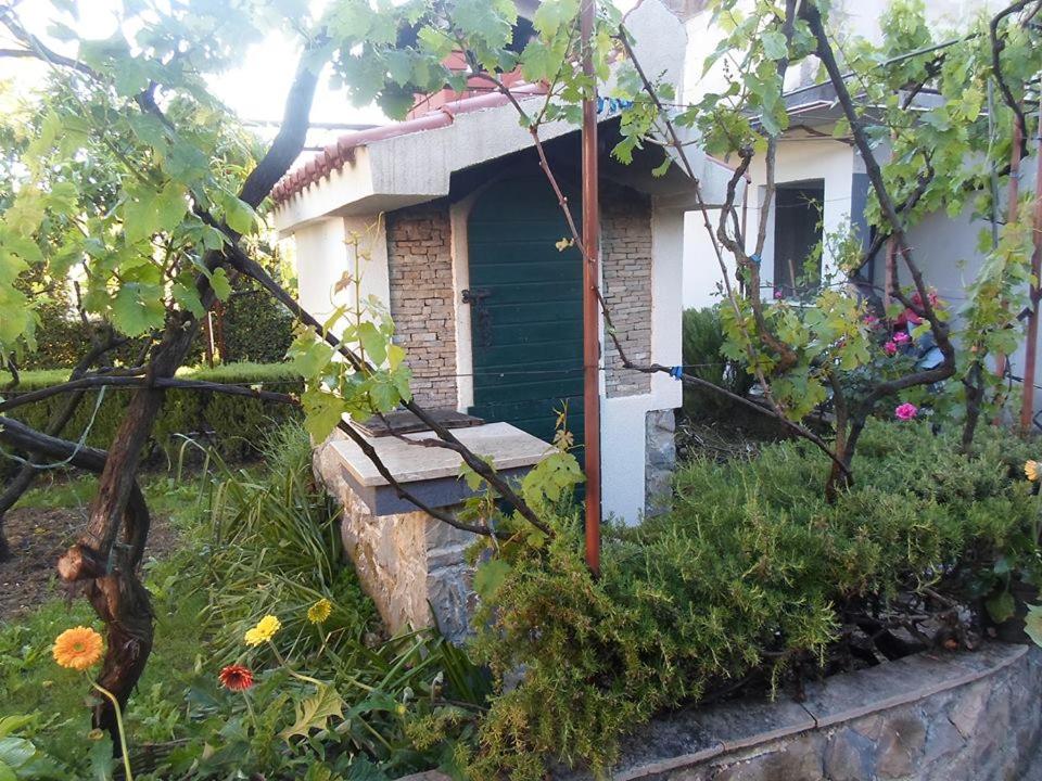 una piccola casa con una porta verde in un giardino di Apartment Mira a Slime