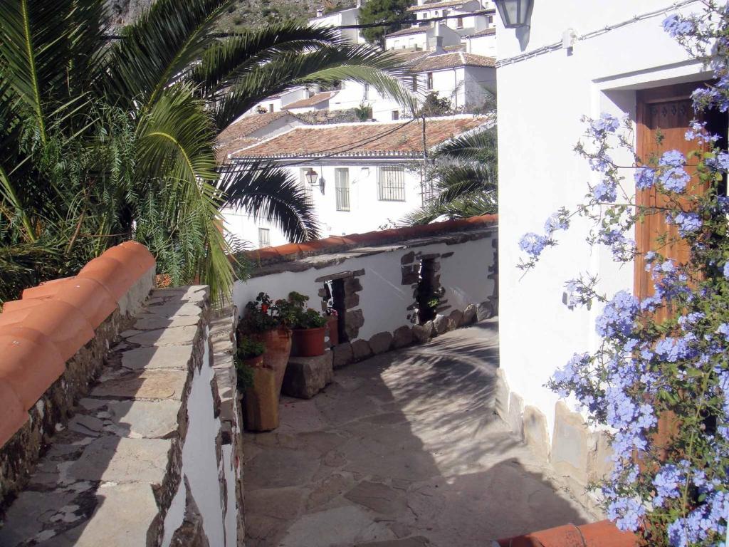 a street in a town with flowers on the wall at Apartamentos Buganvilla in Villaluenga del Rosario