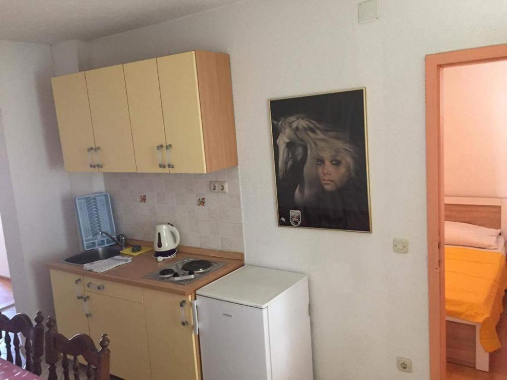 Kuchyň nebo kuchyňský kout v ubytování Apartmani Five