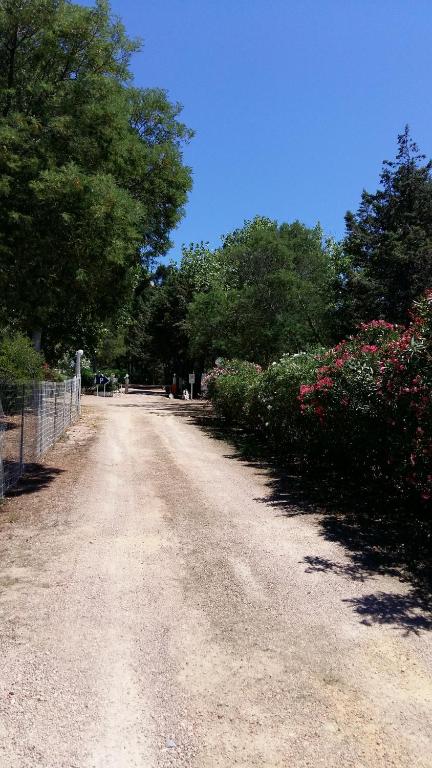 Fotografie z fotogalerie ubytování Camping U Moru v destinaci Figari