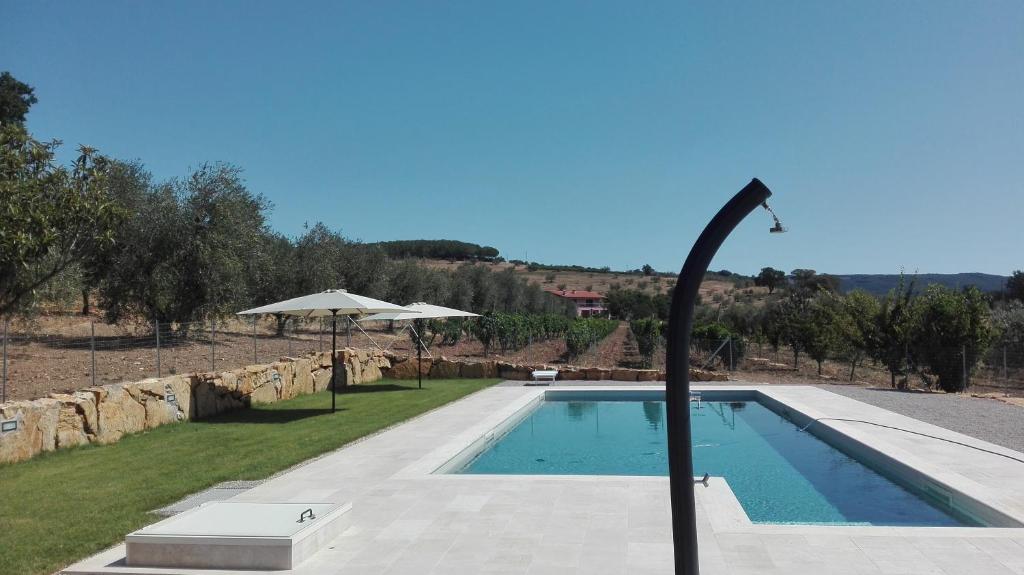 a swimming pool with a light pole next to a yard at Agriturismo San Lino-Gilberto in Massa Marittima