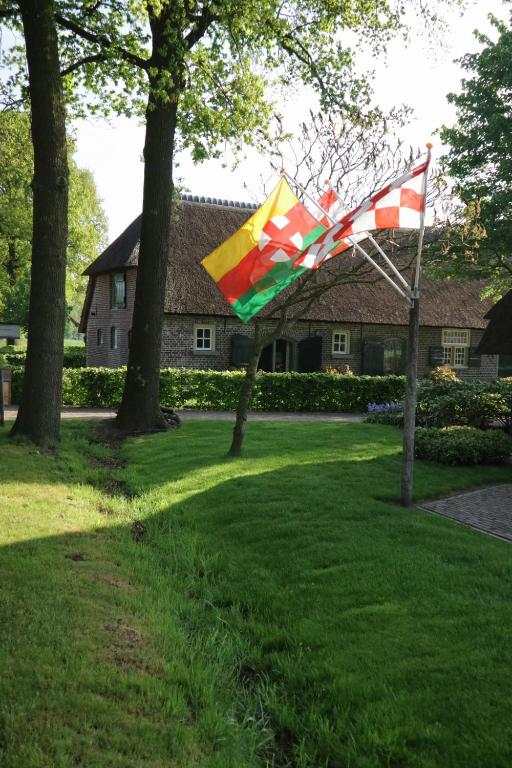 a colorful kite is flying in a yard at Erfgoed & Logies Den Heijkant in Moergestel