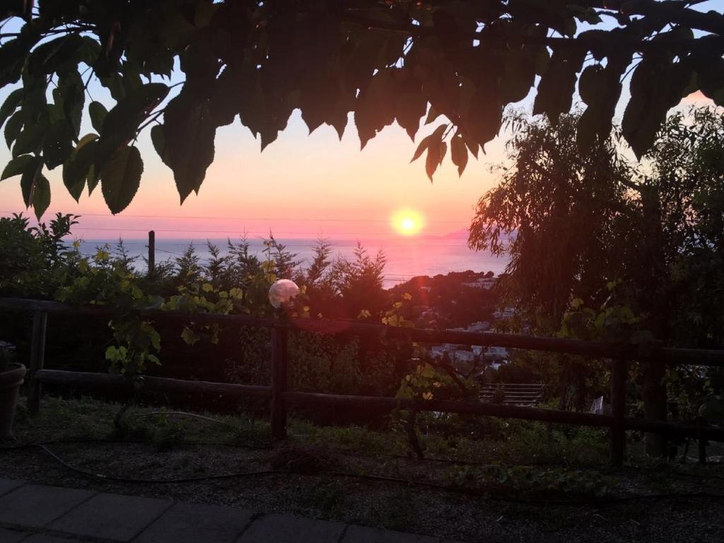 Agriturismo del Sole - 16