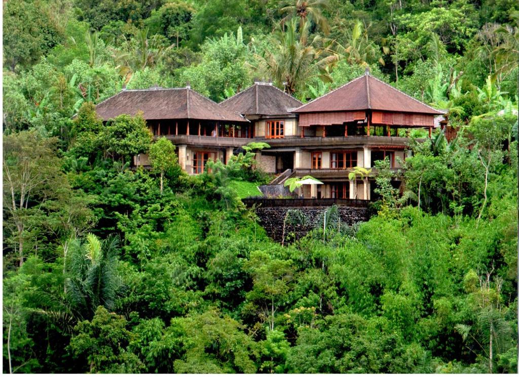 a large house in the middle of a forest at Villa Wastra in Payangan