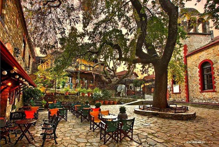 un patio con sillas, mesas y un árbol en Petrino, en Palaios Panteleimon