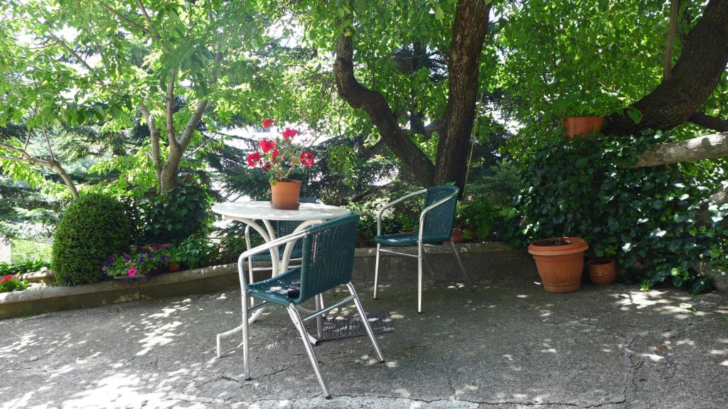 Zahrada ubytování Hotel Mariana