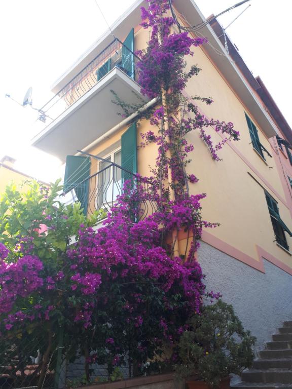 a building with purple flowers on the side of it at Da Rita in San Terenzo