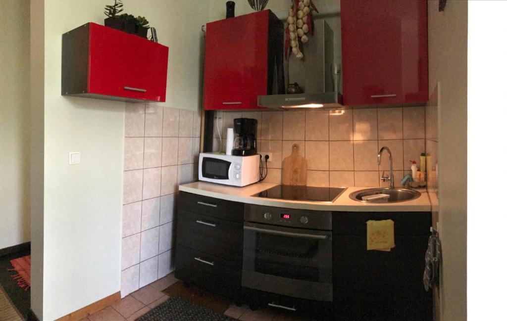 Kuchyň nebo kuchyňský kout v ubytování Chelsea Roosi 11 Apartment