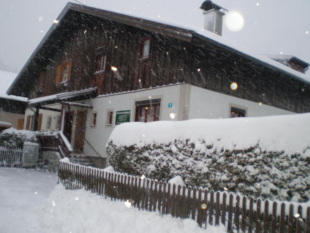 Ferienhaus Gerlinde II v zime
